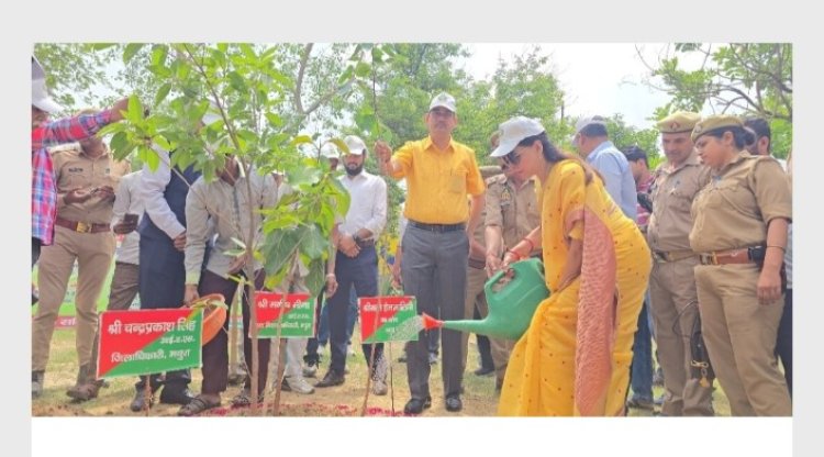 मथुरा। तहसील सदर परिसर में सांसद हेमा मालिनी, जिलाधिकारी वृक्षारोपण किया।