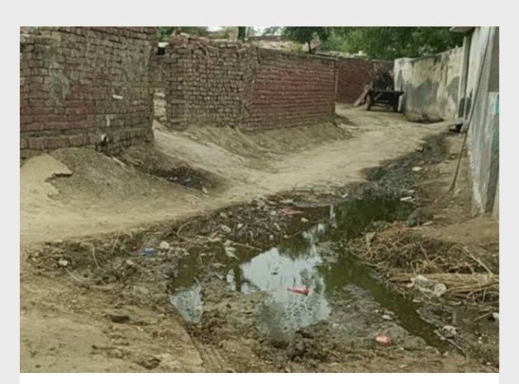 जब प्रधान हो उछल-कूद करने वाला बंदर, तो कैसे होगा विकास, ग्रामीणों का फूटा गुस्सा