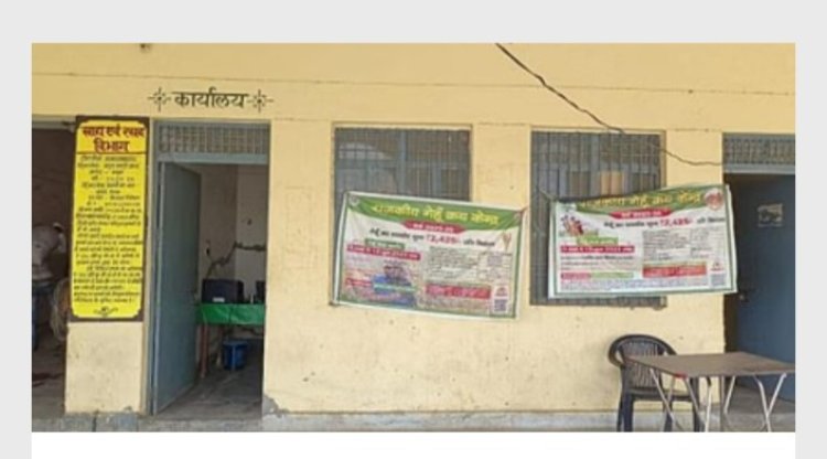 गेहूं खरीद पूरी, सरकार की झोली 69 फीसदी खाली