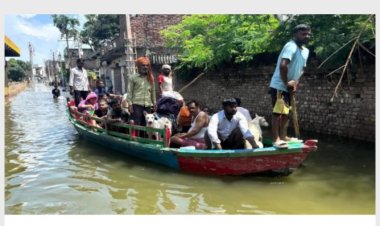 मथुरा में 1978 के बाद पहली बार यमुना विकराल