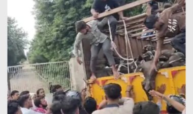 दिल्ली-आगरा हाईवे पर ट्रक से 83 मवेशी बरामद, कई की मौत; ट्रक चालक के खिलाफ मुकदमा